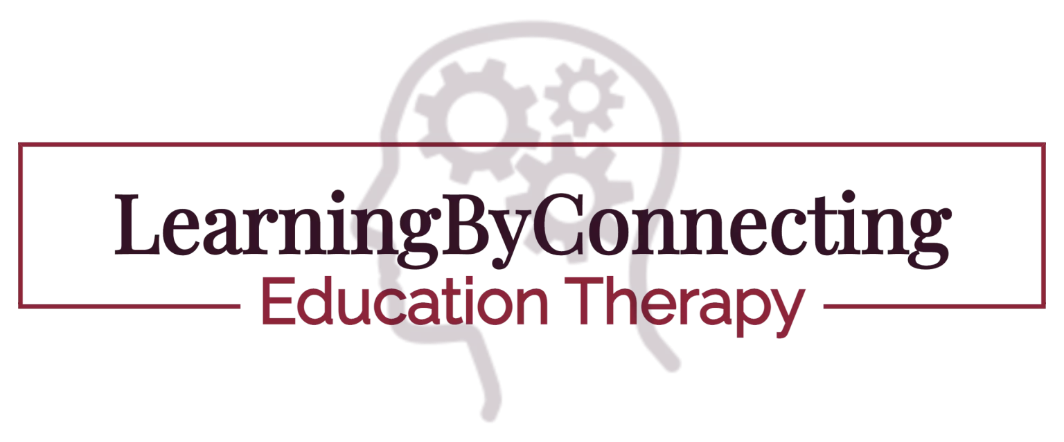 LearningByConnecting Education Therapy 